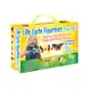 Life Cycle Figurines Classroom Set